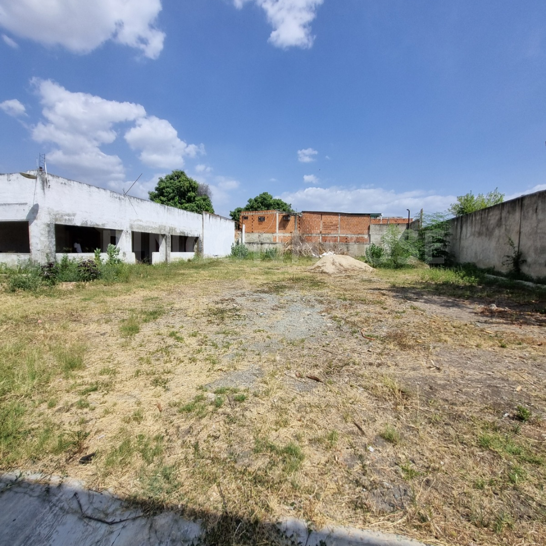 JANDY_20260602_172458_0016